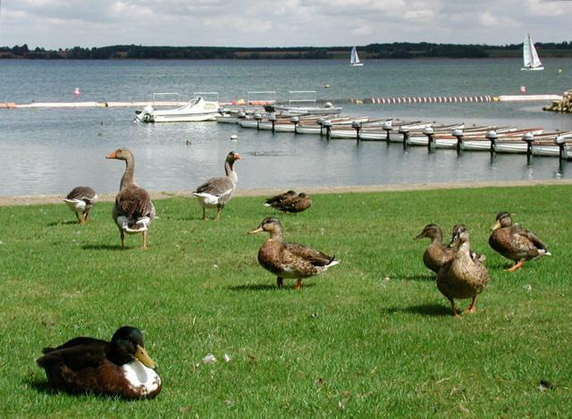 Grafham Water Lodge ภายนอก รูปภาพ